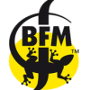 BFM SA